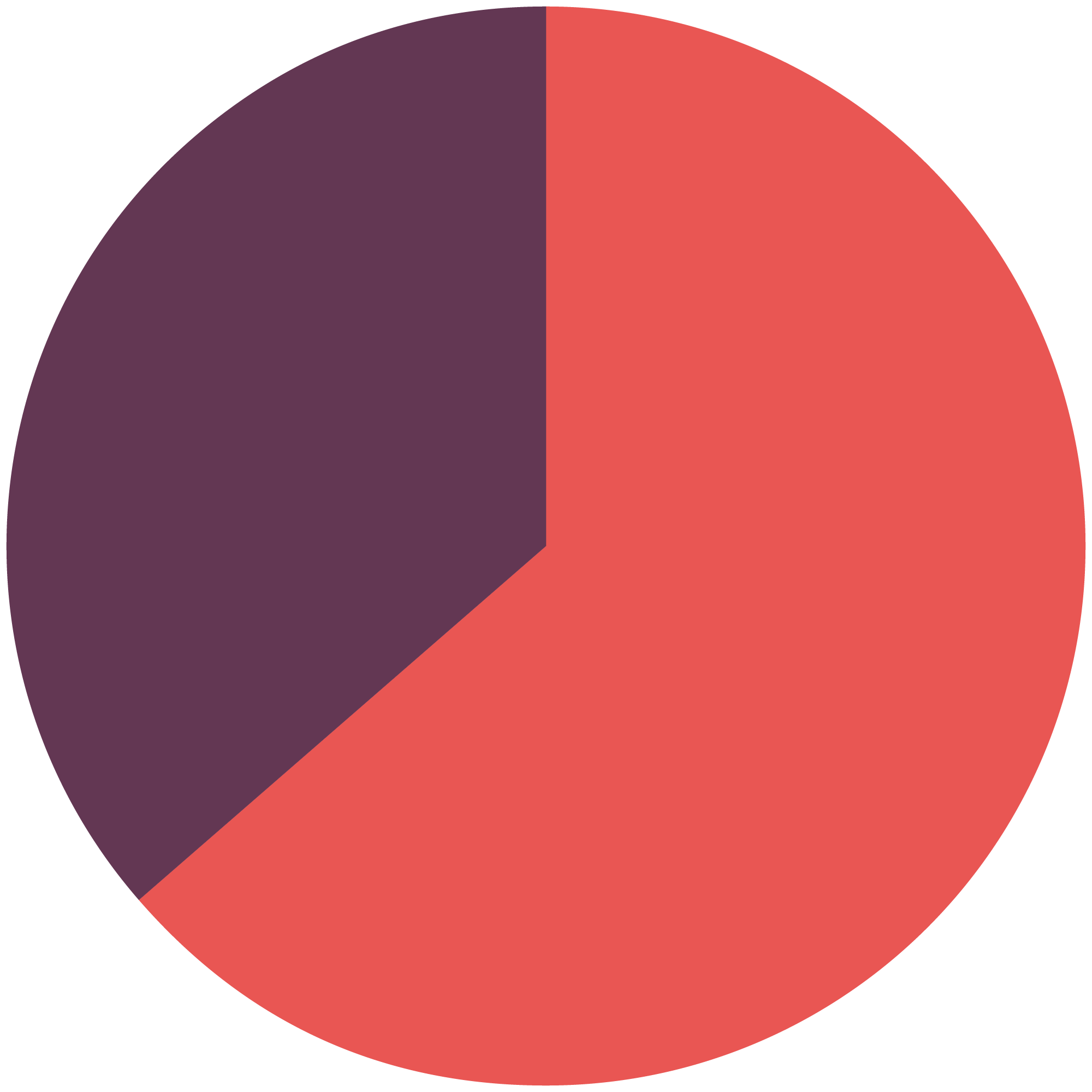 Wahlbeteiligung Roth