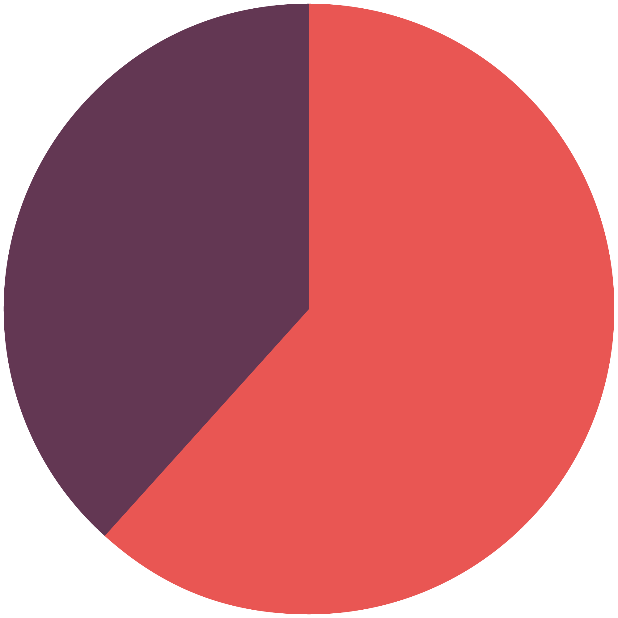 Wahlbeteiligung Schleswig