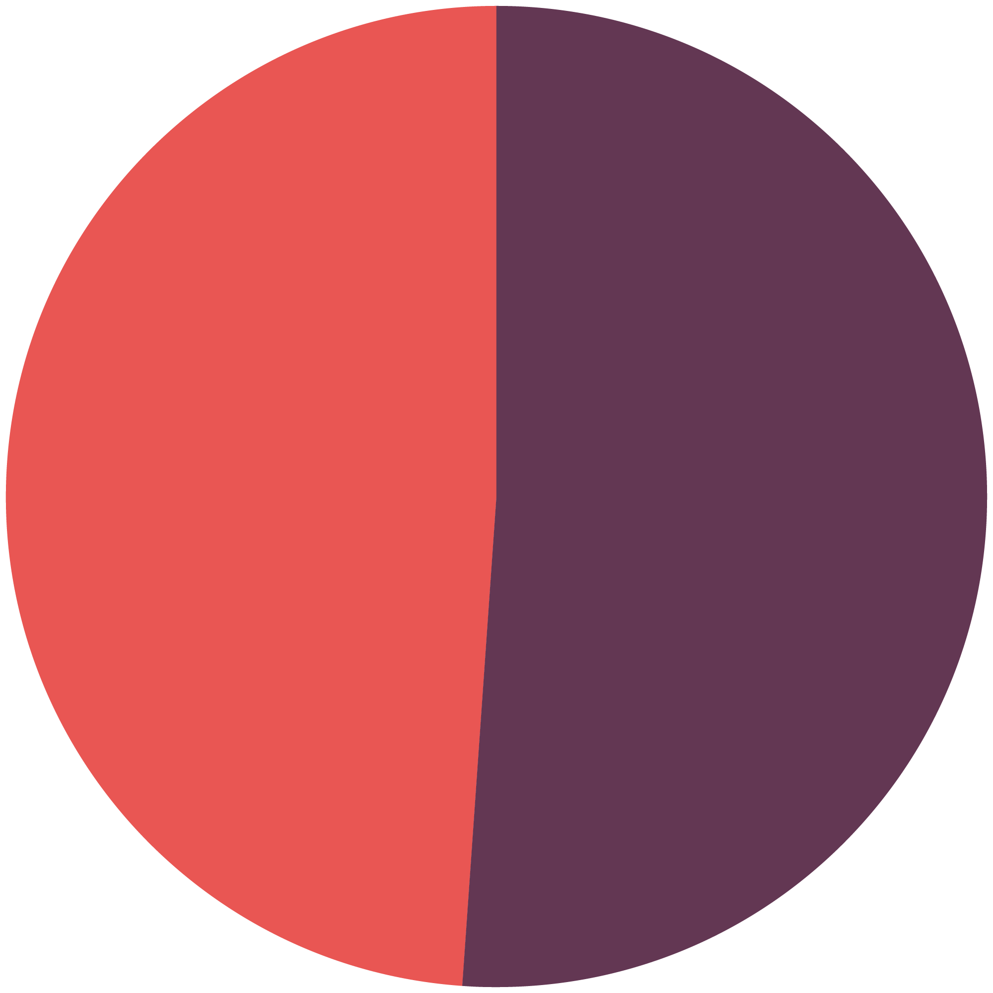 Wahlbeteiligung FHain